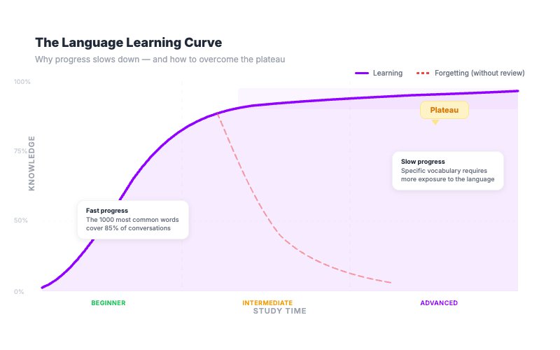 Language learning curve chart showing fast progress at the beginning and plateau at intermediate level