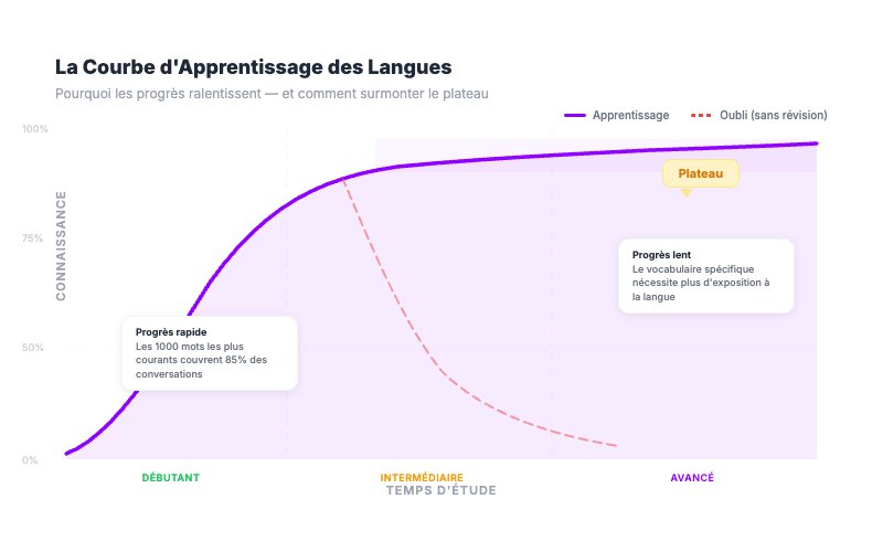 Graphique de la courbe d'apprentissage des langues montrant un progrès rapide au début et un plateau au niveau intermédiaire